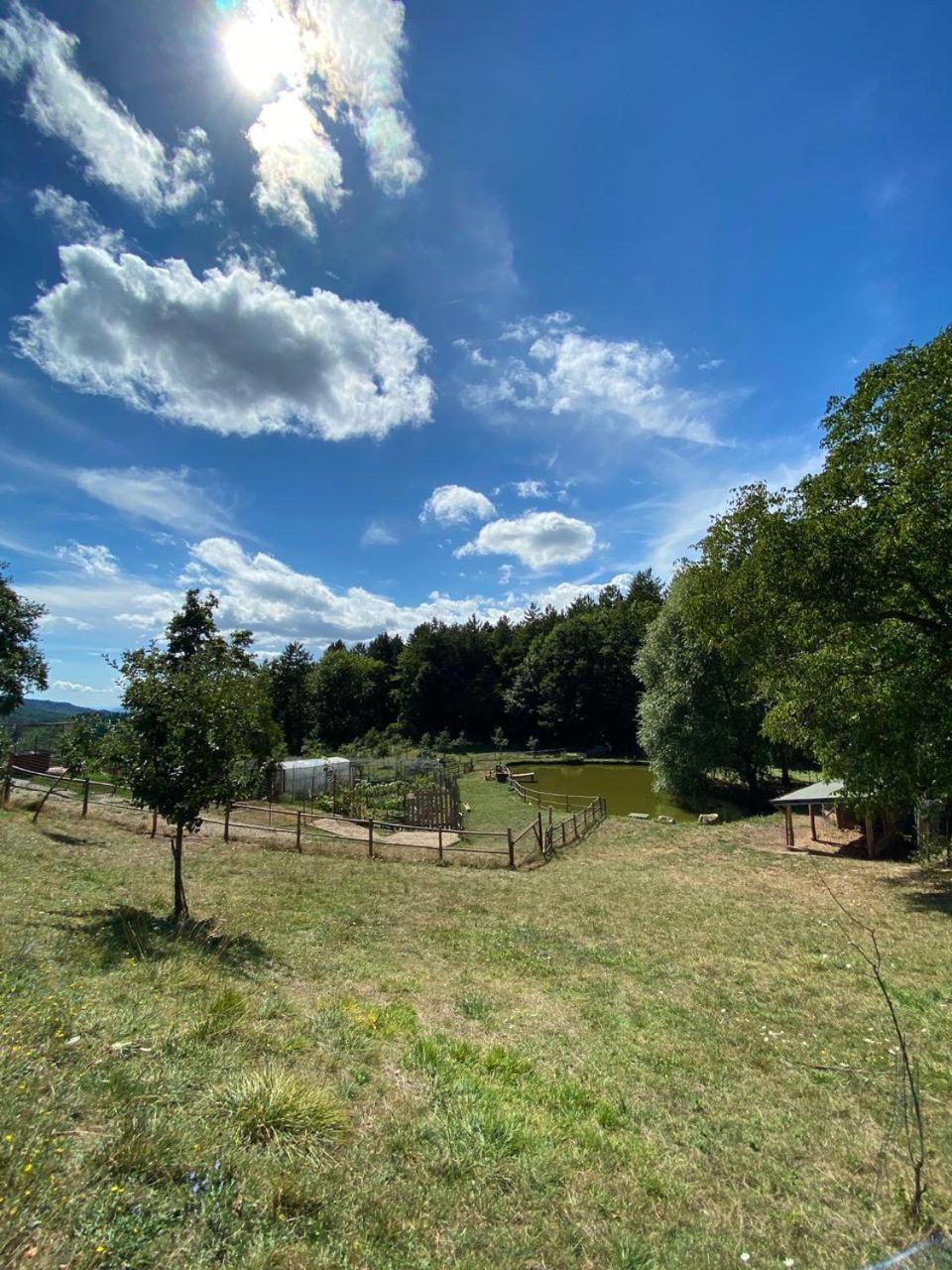 Agriturismo Vezzano Chiusi della Verna Exterior foto
